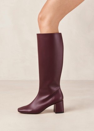 Women's Alohas Chalk Vegan Leather Knee-high Boots Knee High Boots Purple NZ | A0P-2480