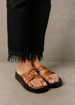 Women's Alohas Cool Leather Toe-ring Slide Sandals Sandals Brown NZ | T7B-9766