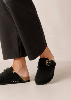 Women's Alohas Cozy Suede Clogs With Buckle Clogs Black NZ | L6C-3650