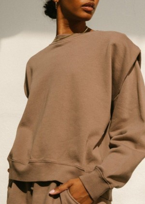 Women's Alohas Doppio Doppio Sweatshirt Sportswear Brown NZ | C7R-5750