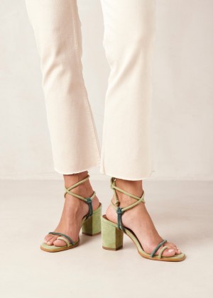 Women's Alohas Grace Bicolor Suede Strappy Sandals With Block Heel Heels Green NZ | I2C-5130