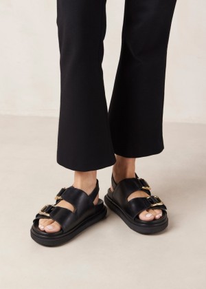 Women's Alohas Harper Leather Two-strap Sandals Sandals Black NZ | A3Y-9855