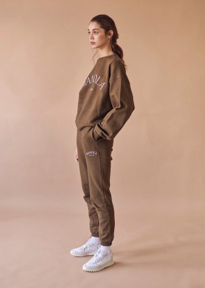 Women's Alohas Iconica Sweatpants With Tape Leg Sportswear Brown NZ | Z9Z-4594