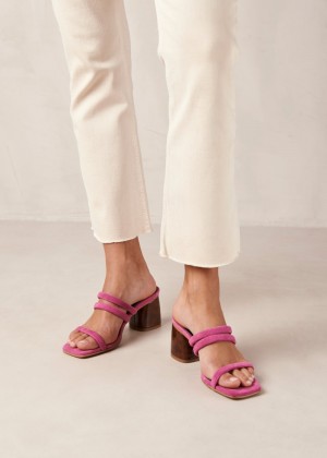 Women's Alohas Indiana Suede Leather Thin-strap Mules With Block Heel Mules Pink NZ | H7P-3092