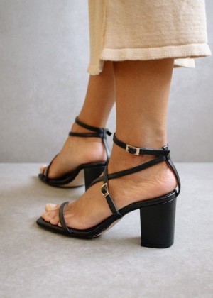 Women's Alohas Manhattan Strappy Block Heel Sandals Sandals Black NZ | F1C-8120