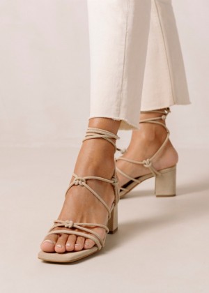 Women's Alohas Paloma Suede Strappy Sandals With Block Heel Sandals Beige NZ | K4M-2571