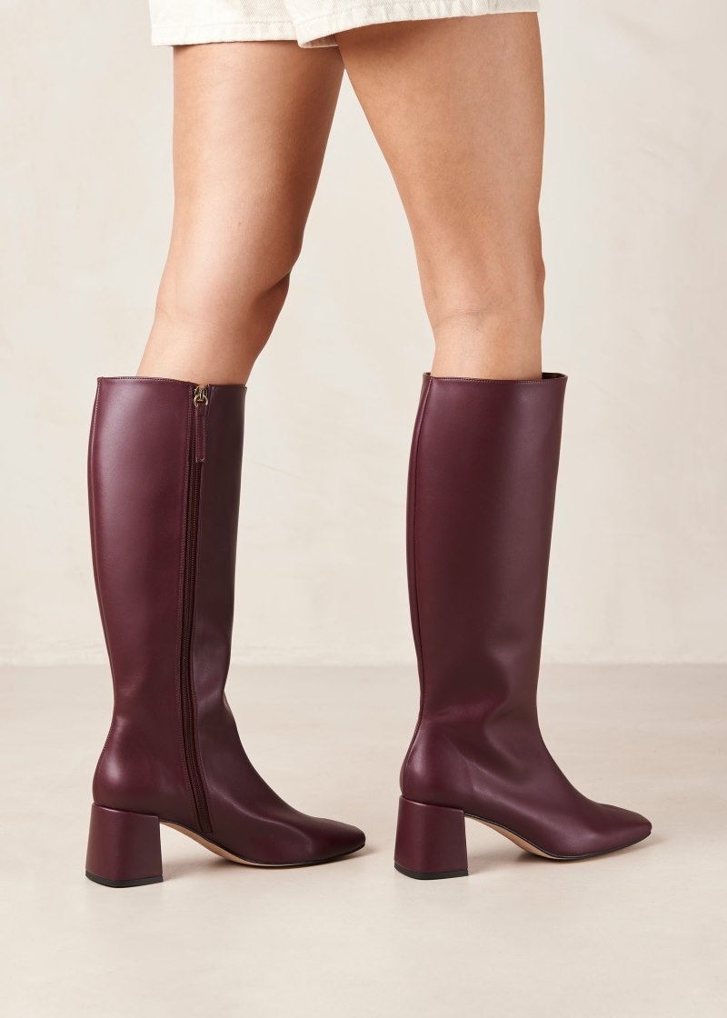 Women's Alohas Chalk Vegan Leather Knee-high Boots Knee High Boots Purple NZ | A0P-2480