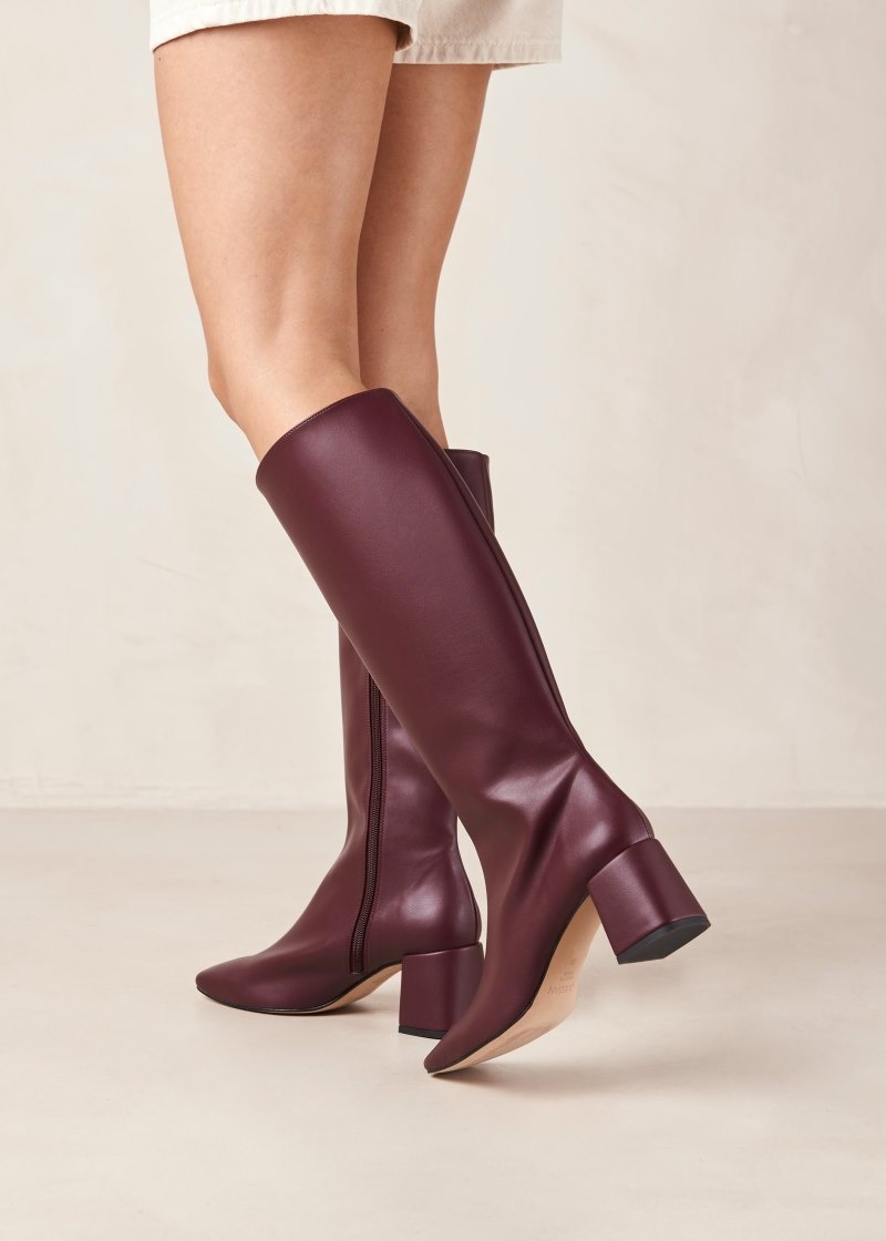 Women's Alohas Chalk Vegan Leather Knee-high Boots Knee High Boots Purple NZ | A0P-2480