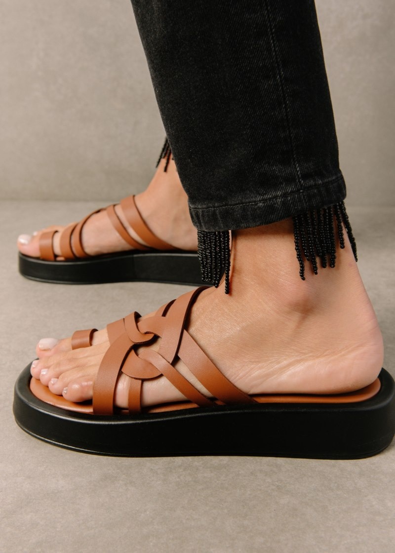 Women's Alohas Cool Leather Toe-ring Slide Sandals Sandals Brown NZ | T7B-9766