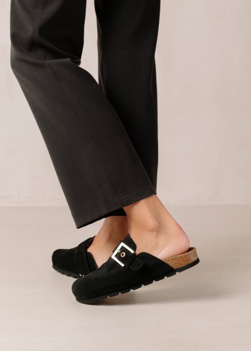 Women's Alohas Cozy Suede Clogs With Buckle Clogs Black NZ | L6C-3650