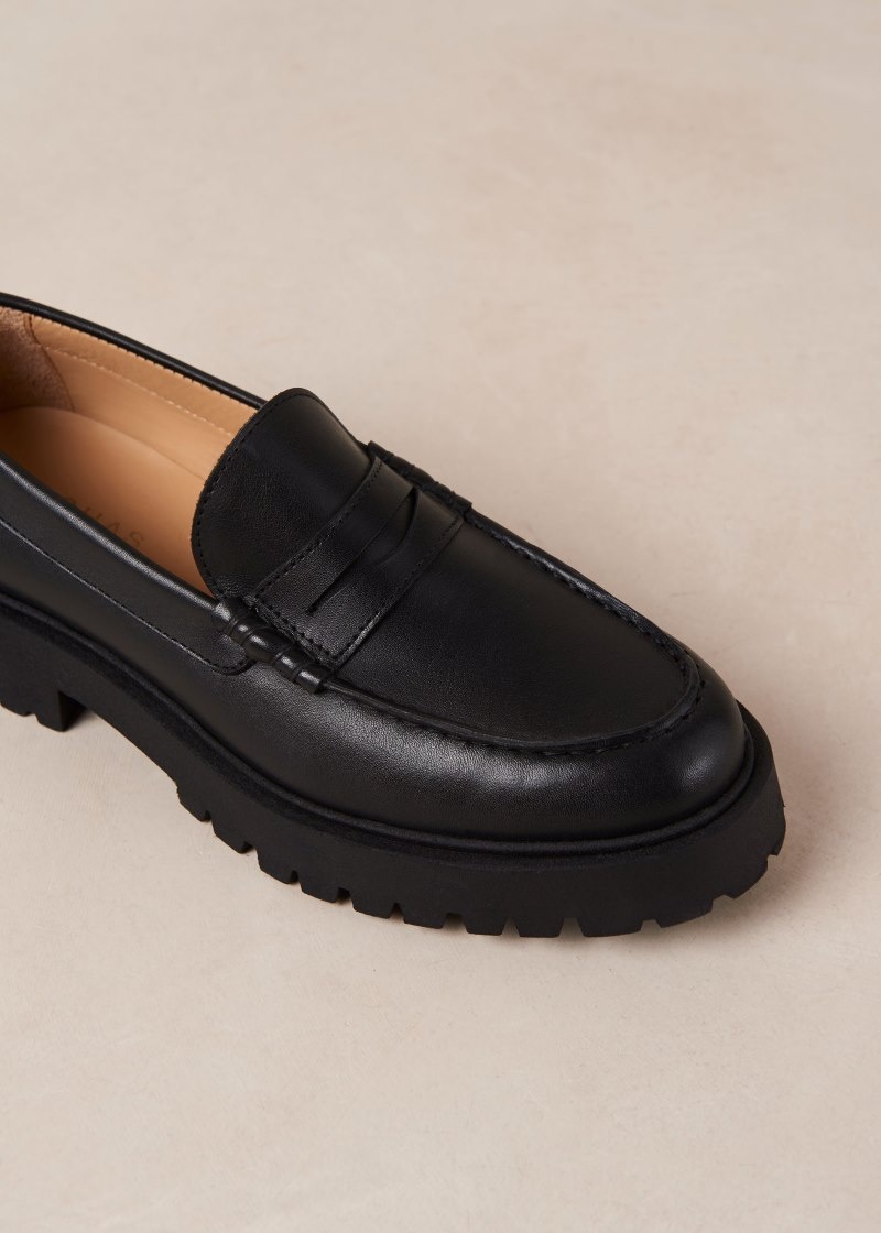 Women's Alohas Dexter Platform Loafers Loafers Black NZ | Q1T-4183