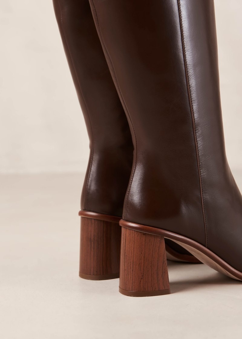 Women's Alohas East Leather Knee-high Boots With Block Heel Knee High Boots Coffee NZ | Z7L-0329