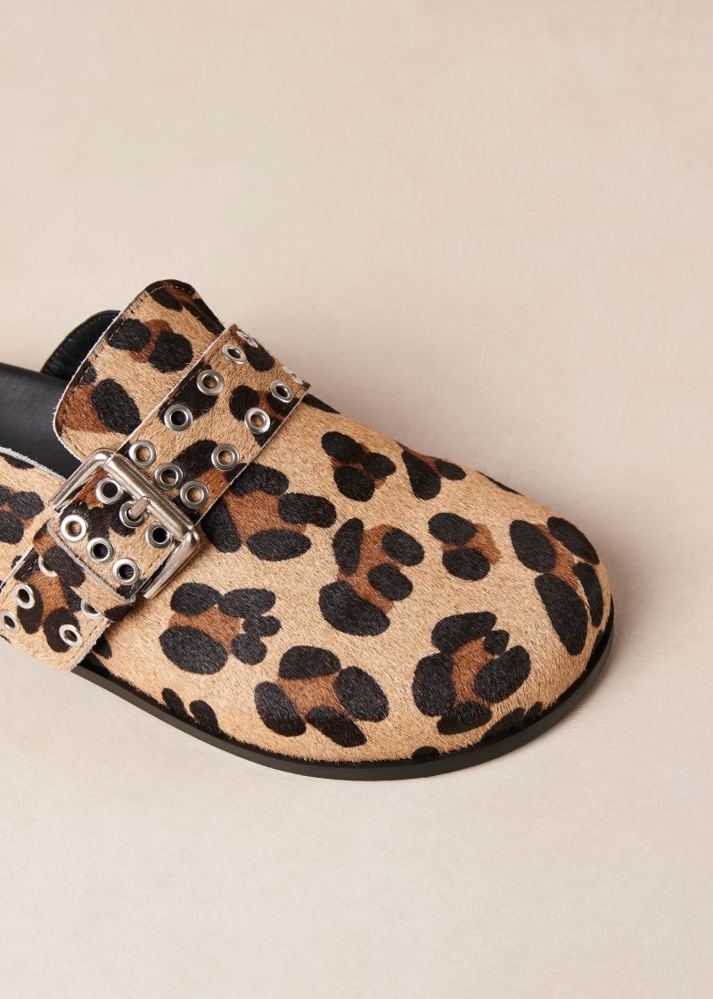 Women's Alohas Halia Leather Clogs With Buckled Straps Clogs Leopard NZ | W4R-9530