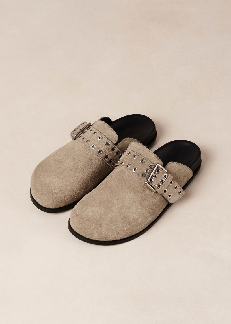 Women's Alohas Halia Suede Clogs With Buckled Straps Clogs Beige NZ | L6G-8707