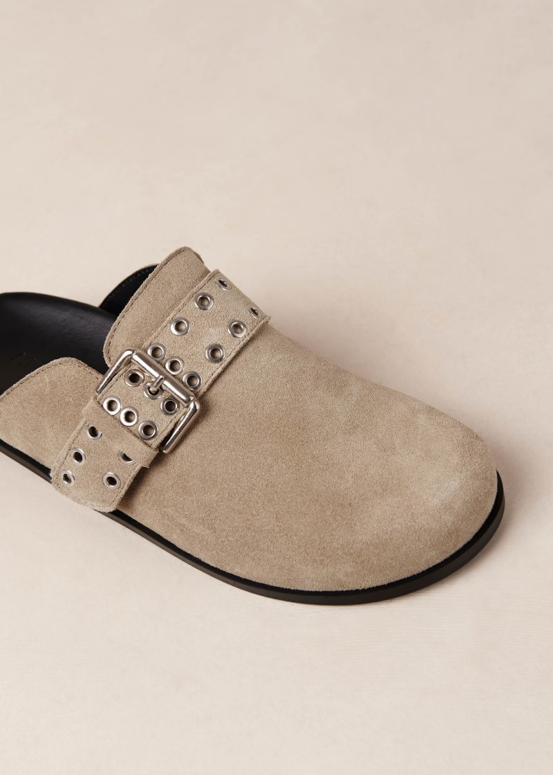 Women's Alohas Halia Suede Clogs With Buckled Straps Clogs Beige NZ | L6G-8707