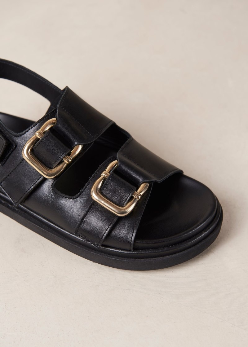 Women's Alohas Harper Leather Two-strap Sandals Sandals Black NZ | A3Y-9855