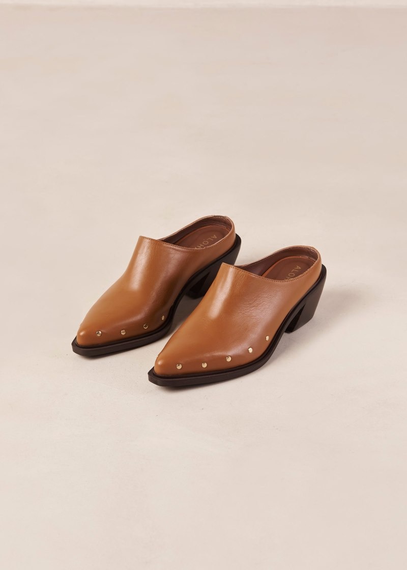 Women's Alohas Lorenzo Leather Pointed-toe Mules With Cuban Heel Heels Brown NZ | A3T-8557