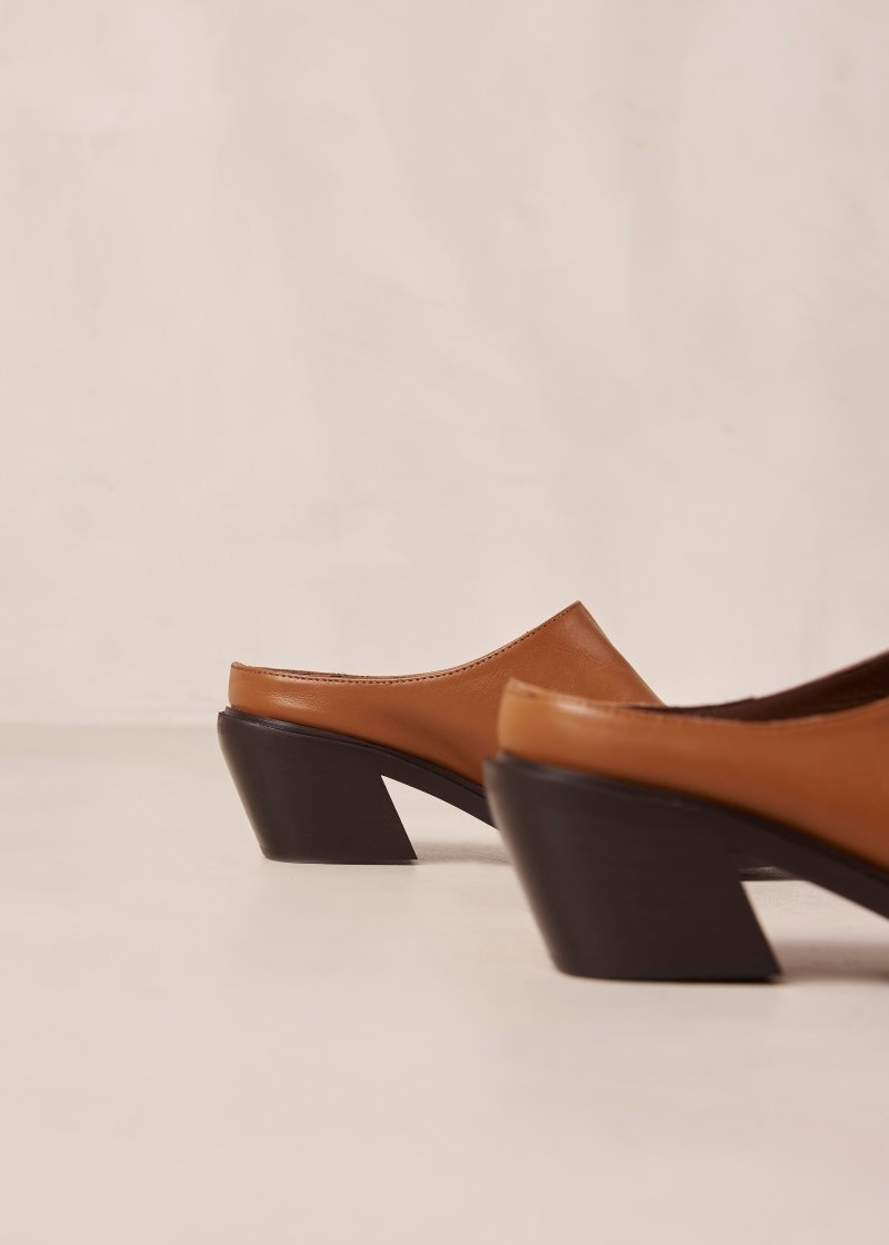 Women's Alohas Lorenzo Leather Pointed-toe Mules With Cuban Heel Heels Brown NZ | A3T-8557