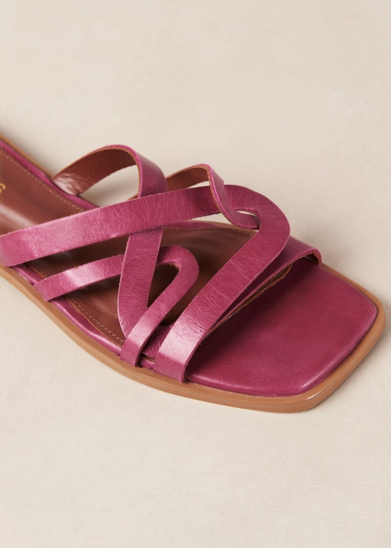 Women's Alohas Pad Leather Slide Sandals Mules Pink NZ | Y6C-1323