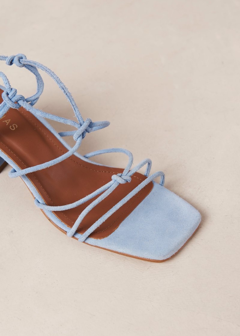 Women's Alohas Paloma Suede Strappy Sandals With Block Heel Sandals Blue NZ | C2J-2602