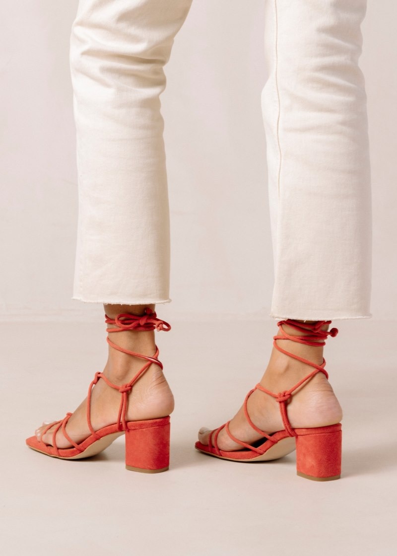 Women's Alohas Paloma Suede Strappy Sandals With Block Heel Heels Orange NZ | N3L-2050