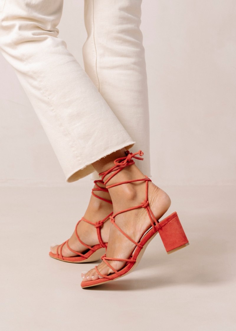 Women's Alohas Paloma Suede Strappy Sandals With Block Heel Heels Orange NZ | N3L-2050