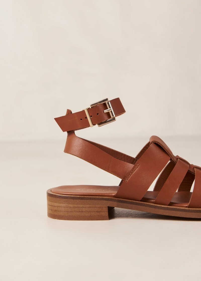 Women's Alohas Perry Leather Fisherman Sandals Sandals Brown NZ | J9A-6654