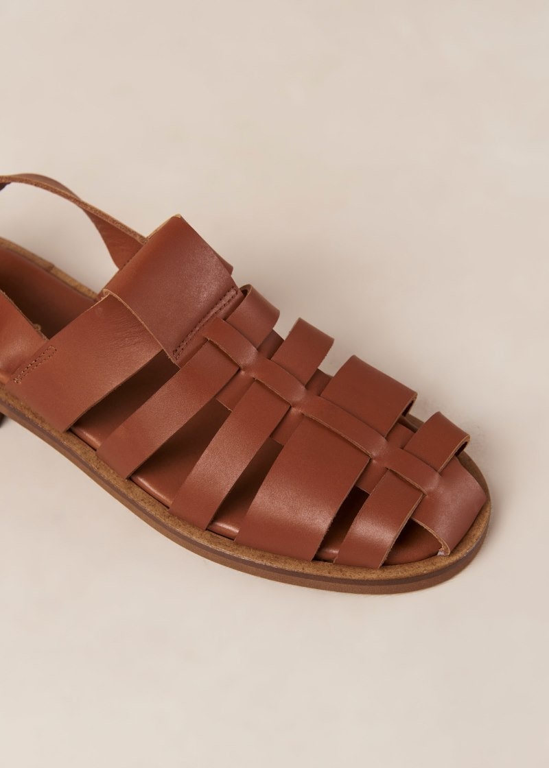 Women's Alohas Perry Leather Fisherman Sandals Sandals Brown NZ | J9A-6654