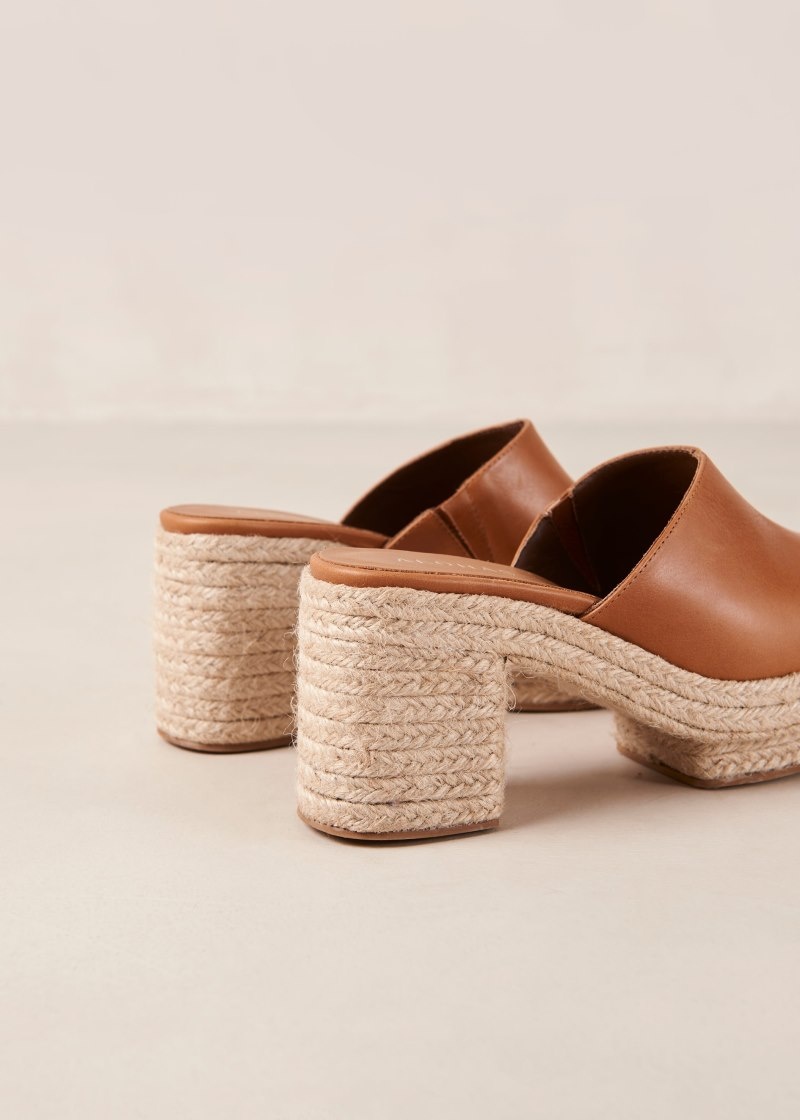 Women's Alohas Pico Leather Heeled Espadrille Clogs Clogs Brown NZ | E2D-3630